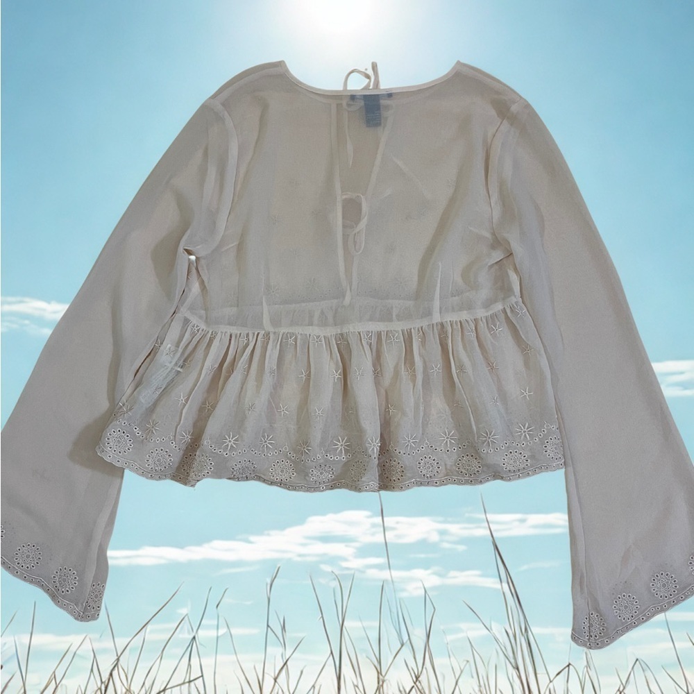 Sheer Embroidered Ruffle Top - Picture 3 of 6